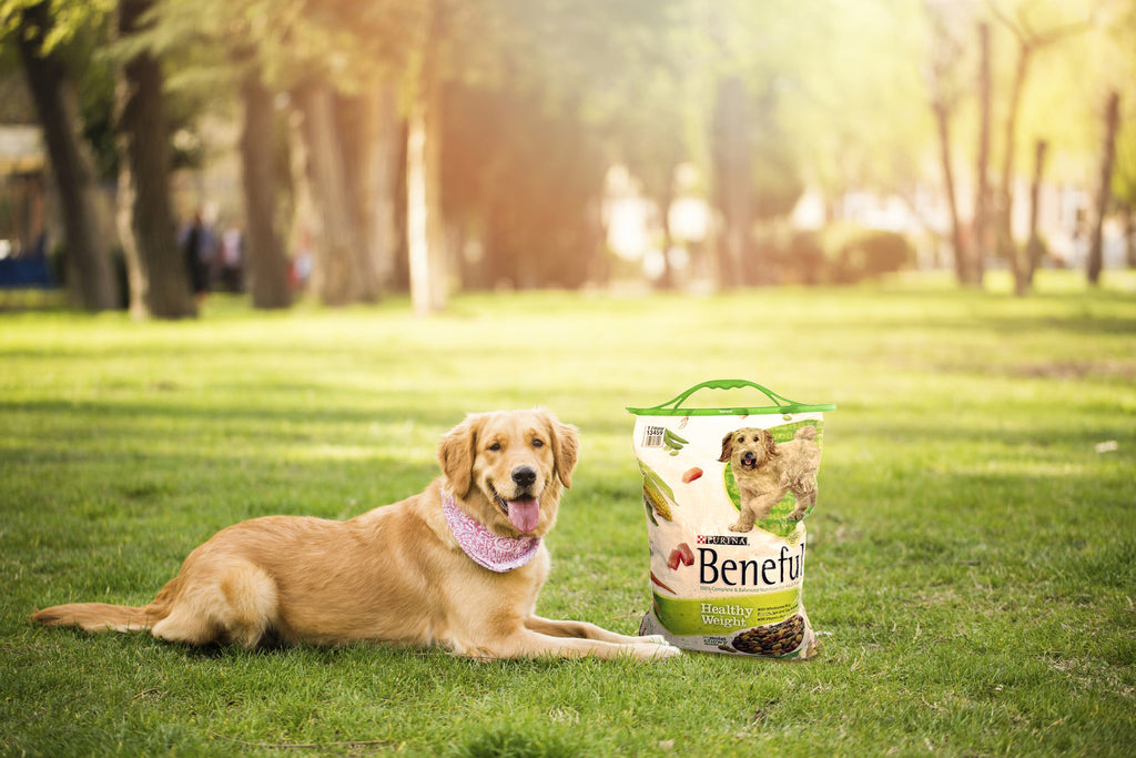 GRIPSTIC® Heavy Duty Handles 3Pack